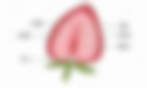 二、南宁南国妇产医院整形美容科正规吗？来看看医院资质：