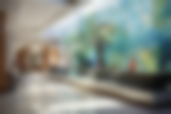 韩国CHO I 整形外科