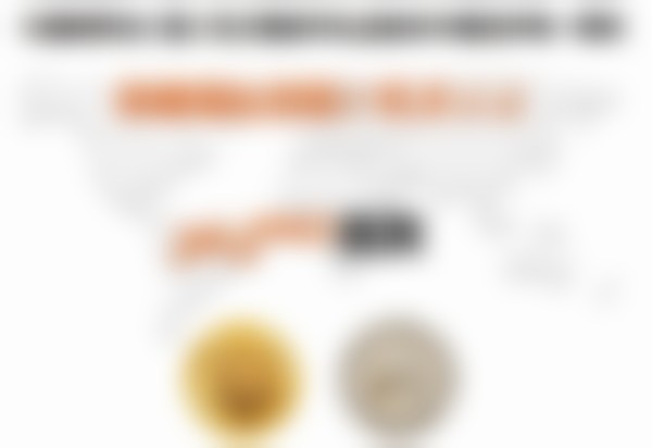 金韩（新村兰斯院长）