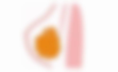 如何预约邹浅医生:开启变得更美之旅