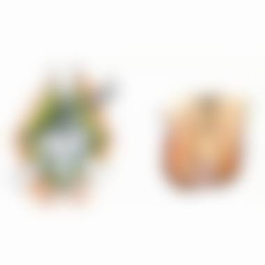 七、安徽中医学校第一附属医院价格表：（仅供参考）