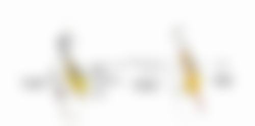 双眼皮后多久能修复自然？快速消肿阶段