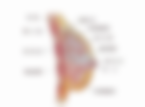 小孩积食眼袋深怎么办？饮食、推拿、食疗多管齐下，有效改善积食与眼袋问题