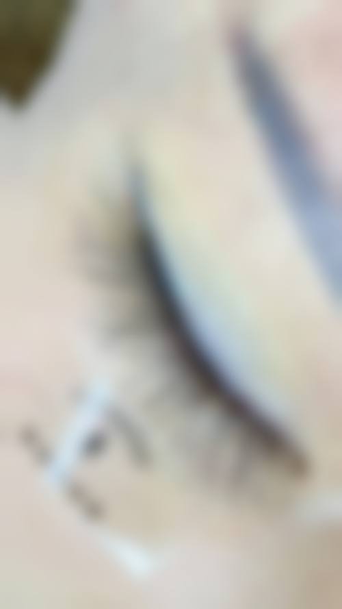 二、锡林郭勒盟中 心医院(医学美容科)正规吗？来看看医院资质：