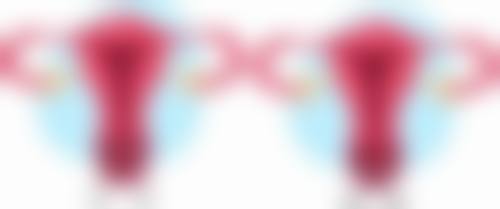 四、信所爱女性医院开展的主要项目和特色项目：