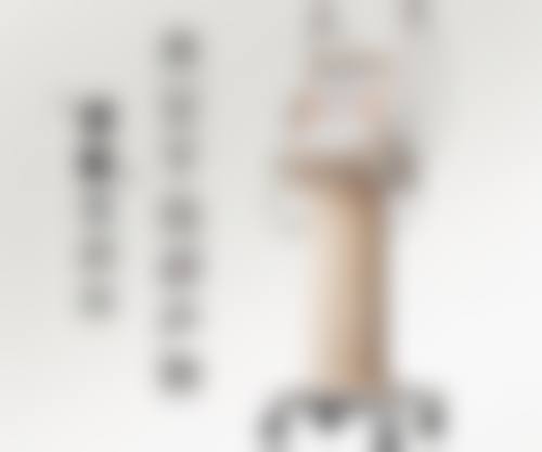 三、上海天大医疗整形医院医生介绍: