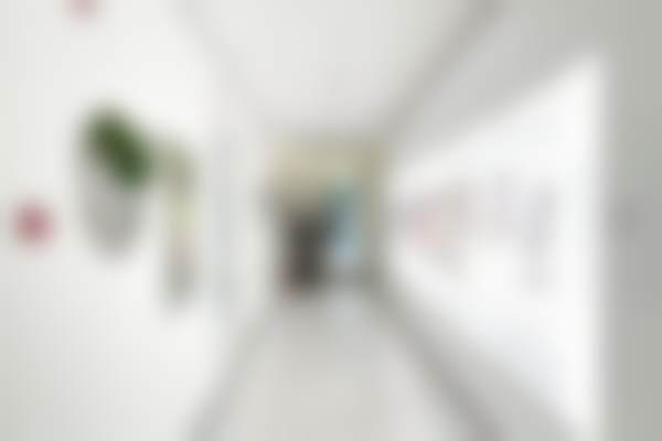 北京纯脂医疗美容门诊部王自谦医生临床实例见证实力