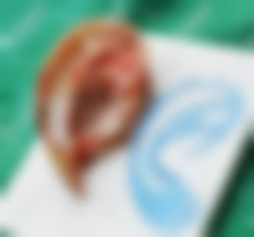 七、大连星海唯娜医疗美容诊所价格表：（仅供参考）