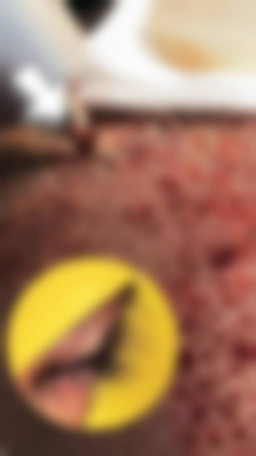 三、莆田新生植发医疗美容门诊部基本信息：