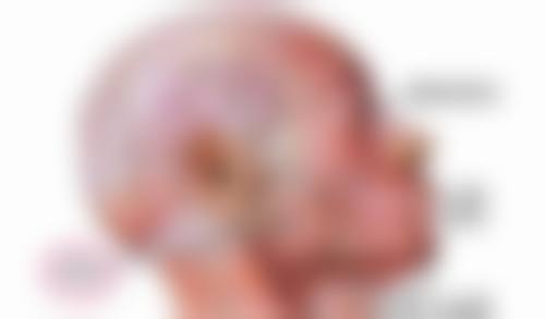 美妍高科去眼袋真的没副作用吗？临床18年数万例成功，四重效果还享多年保修 