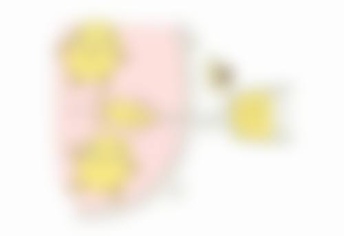 瘦脸针剂量怎么选？30 - 100 个单位各有优势，助你精准打造理想脸型 