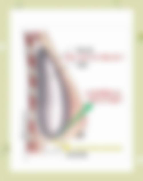 五、设计师整形医院怎么预约：