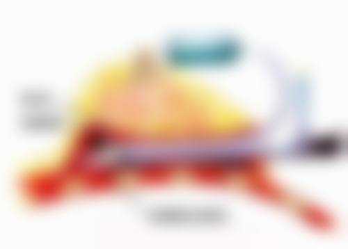 八、绵阳熙芝匠心医疗美容诊所真实的顾客评价如下: