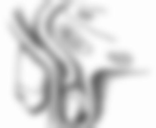芦荟真能去除眼袋和黑眼圈吗?长期坚持使用的成效