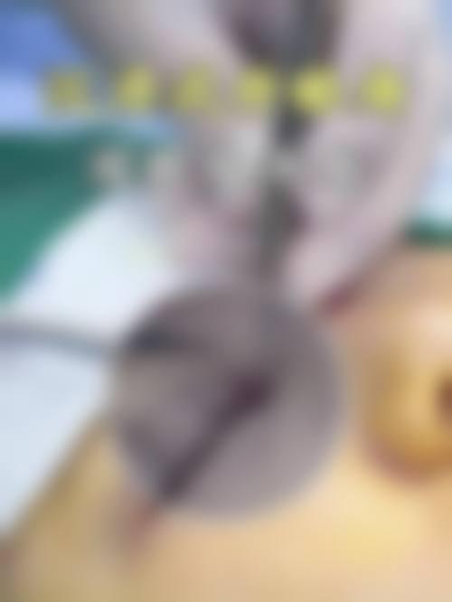 六、日本Dr.Spa 美容整形医院怎么预约: