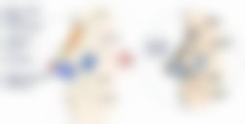 胸口长了疤痕疙瘩莫急,综合治疗成效好