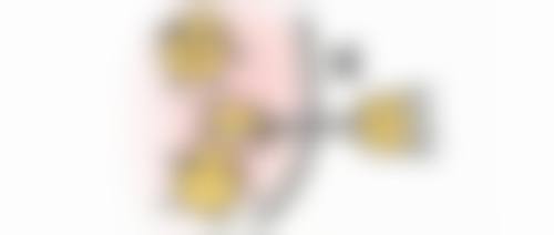 三、上海正璞惠世医疗美容门诊部医生介绍:
