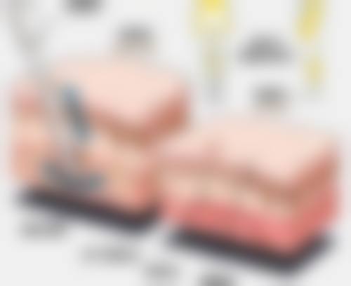 六、上海正璞惠世医疗美容门诊部怎么预约：