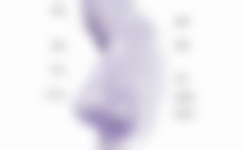 注射胶原蛋白隆鼻成效如何？触感是否真的似真？