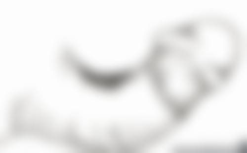 想精细区分单双眼皮?瞅瞅睫毛状态