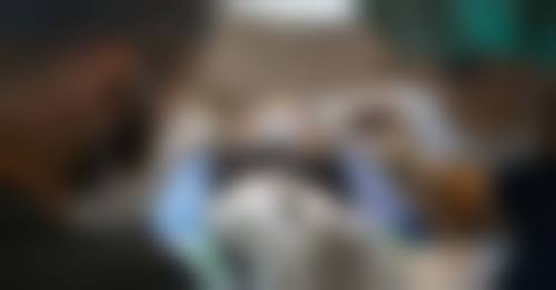 三、西安俪人整形美容医院医生介绍: