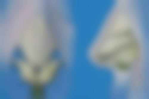 想消掉眼袋?按摩辅助方法来助力
