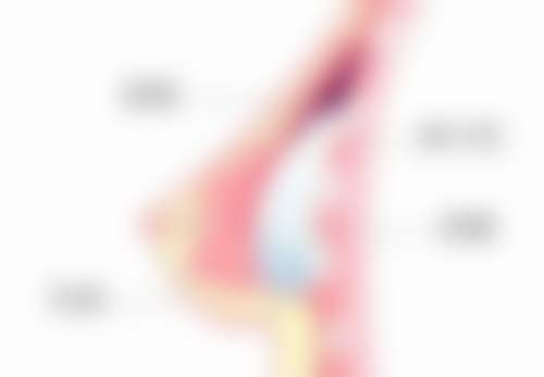 肖佳医生在哪家医院怎么预约?